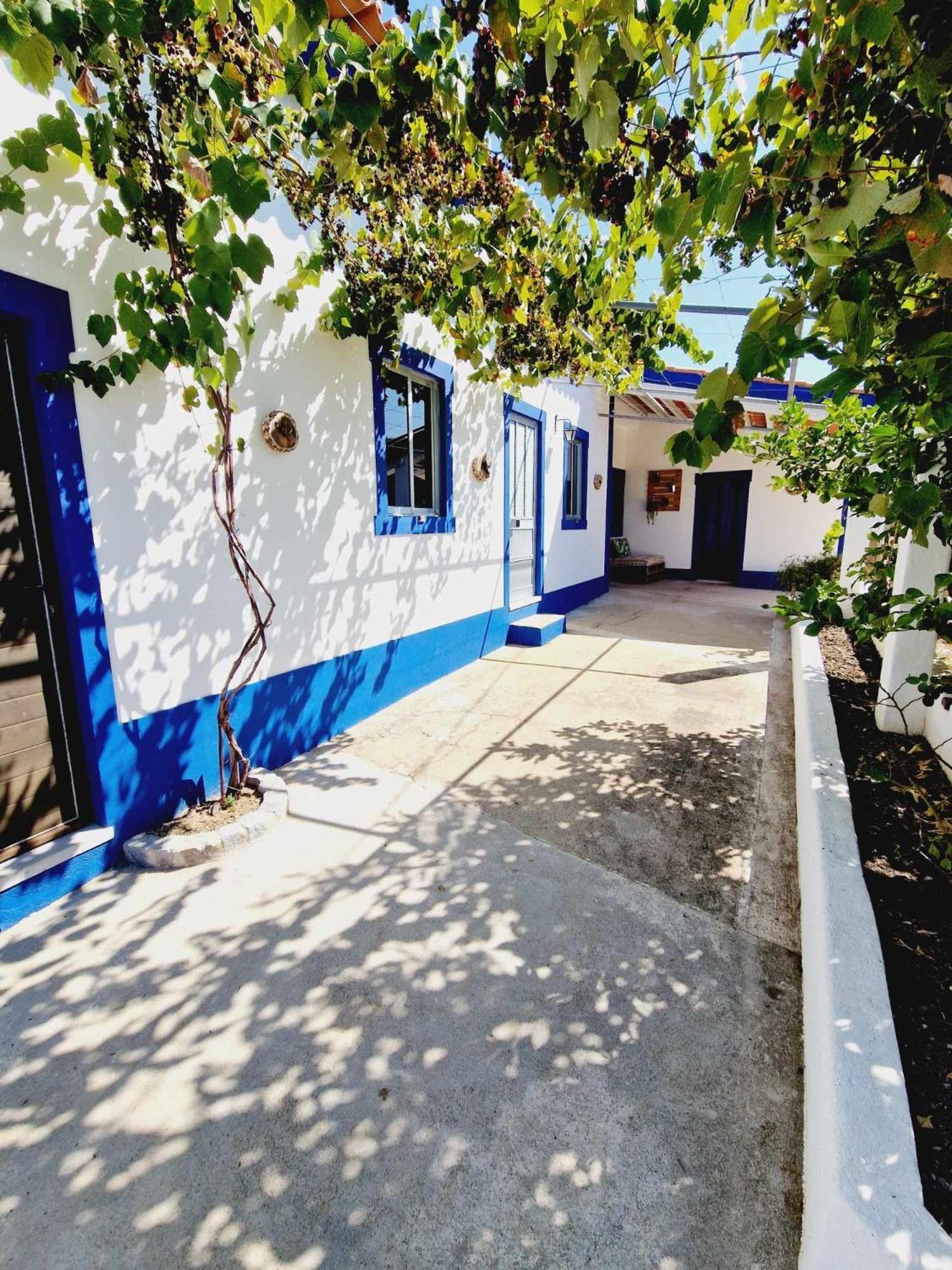 Willa Casa Dos Martelitos Salgueira  Zewnętrze zdjęcie