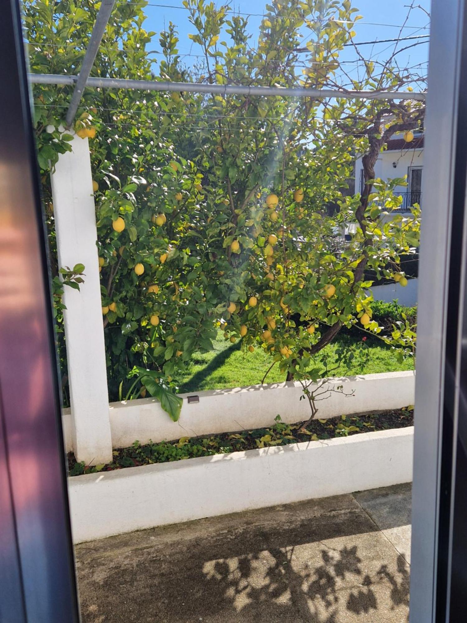 Willa Casa Dos Martelitos Salgueira  Zewnętrze zdjęcie